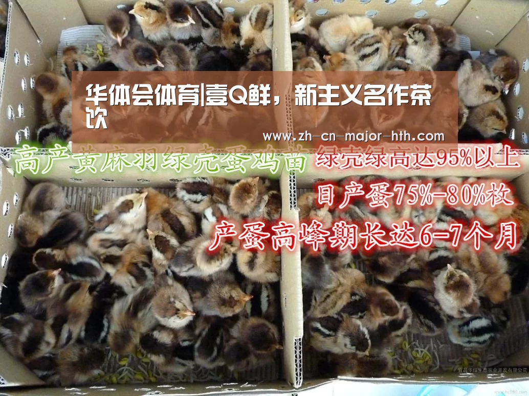 华体会体育|壹Q鲜,新主义名作茶饮(图3) 华体会体育