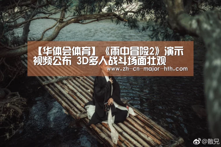 【华体会体育】《雨中冒险2》演示视频公布 3D多人战斗场面壮观(图3) 华体会体育