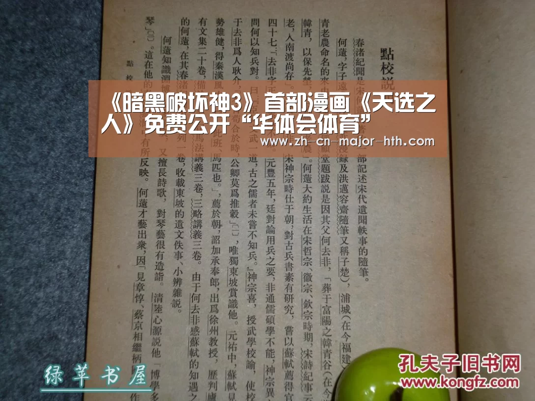 《暗黑破坏神3》首部漫画《天选之人》免费公开“华体会体育”(图2) 华体会体育