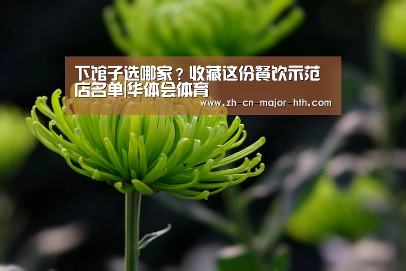 下馆子选哪家?收藏这份餐饮示范店名单|华体会体育(图2) 华体会体育