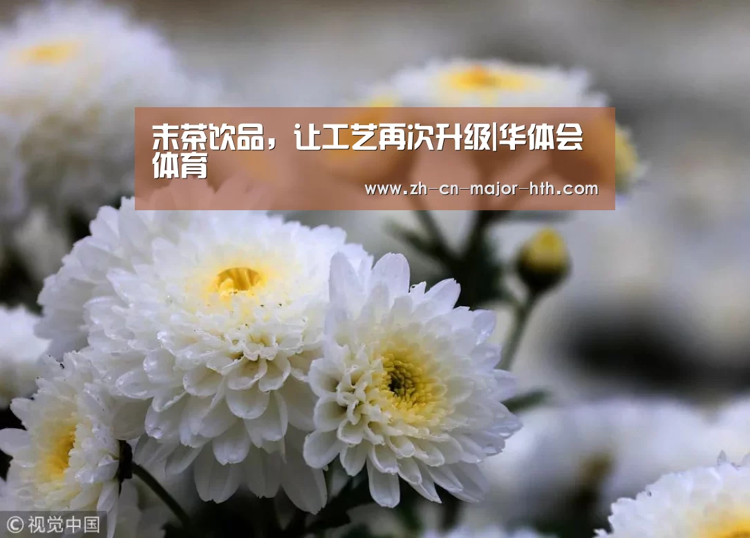 华体会体育